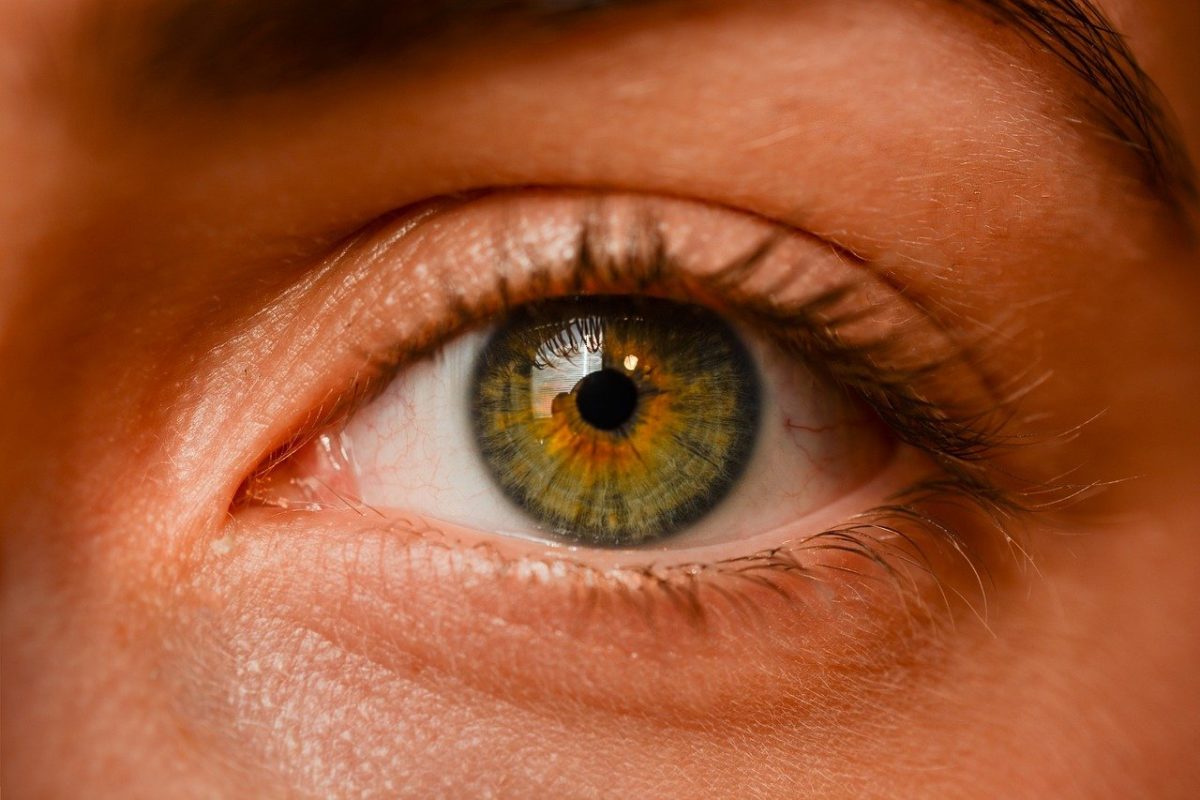 Oczy to szczególny organ. To dokładnie dzięki nim odczuwamy.